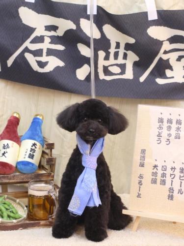 20240626コアくん